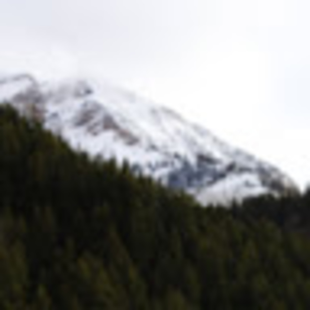 Meet your Posher, Carter